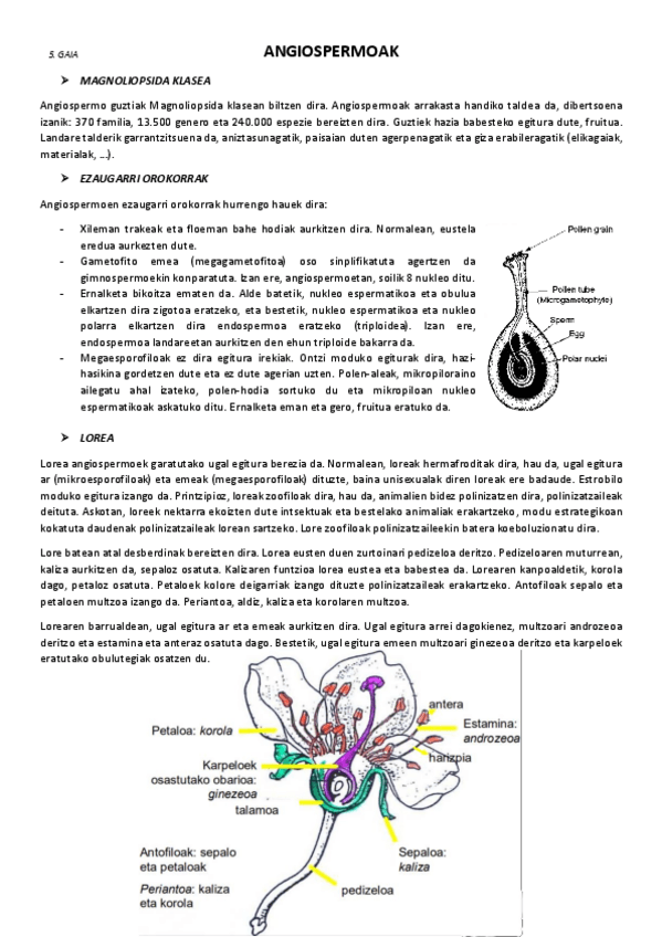 Miniatura del documento 5.-Angiospermoak.pdf