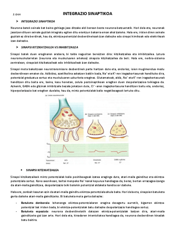 Miniatura del documento 5.-Integrazio-sinaptikoa.pdf