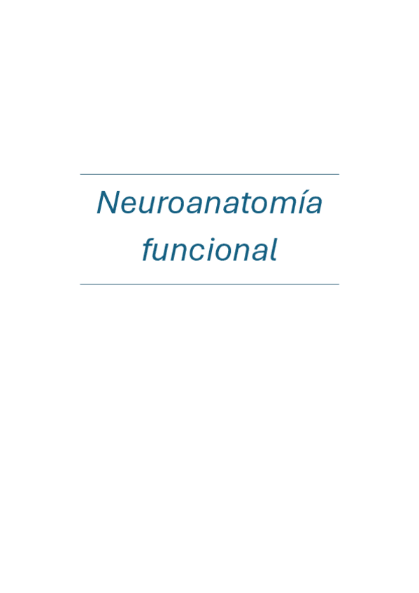 Miniatura del documento Neuroanatomia-funcional.pdf