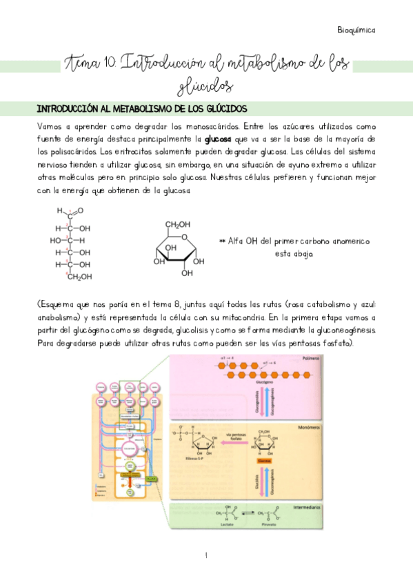 Miniatura del documento Tema-10-Introduccion.pdf