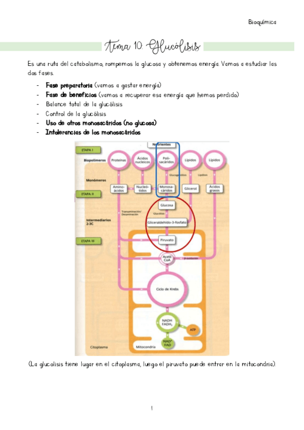 Miniatura del documento Tema-10.pdf