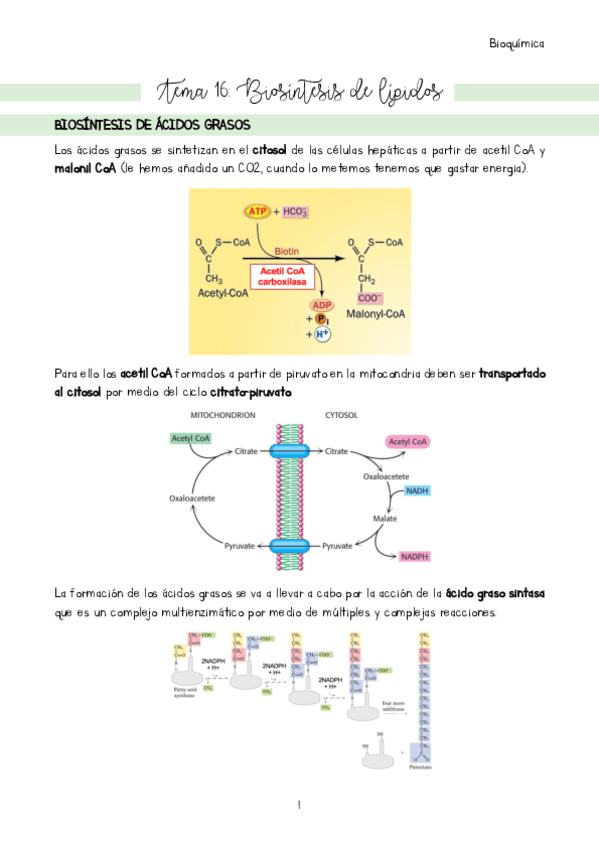 Miniatura del documento Tema-16.pdf