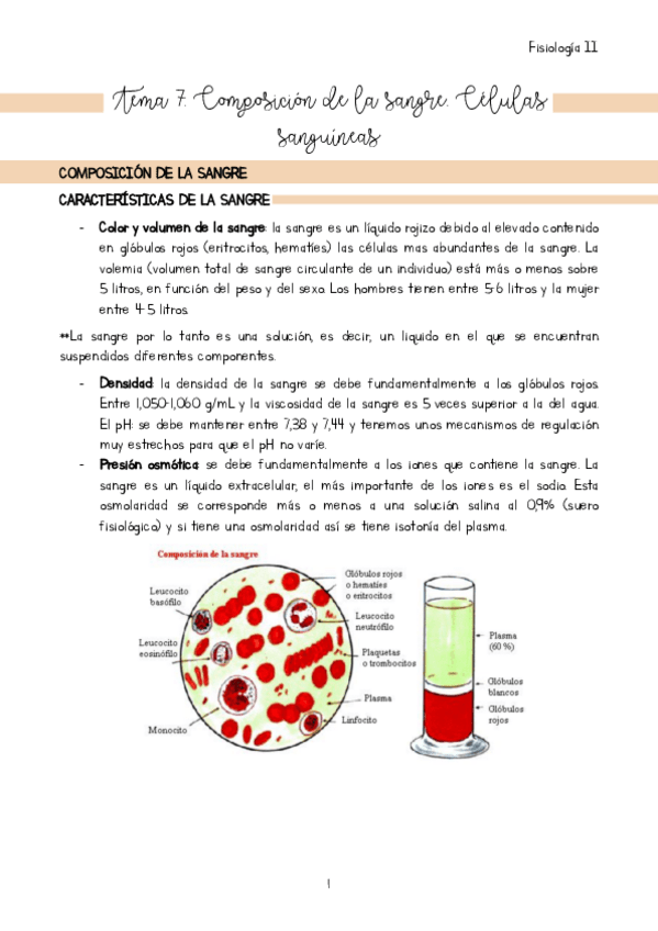 Miniatura del documento Tema-7.pdf