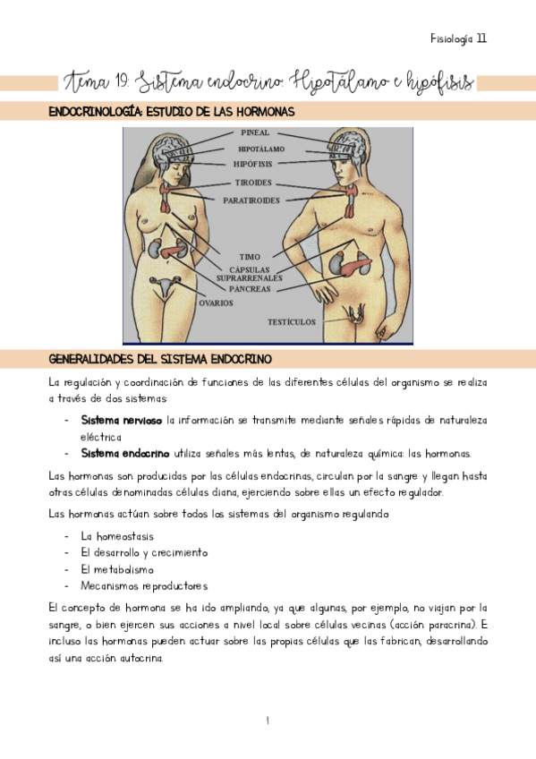 Miniatura del documento Tema-19.pdf
