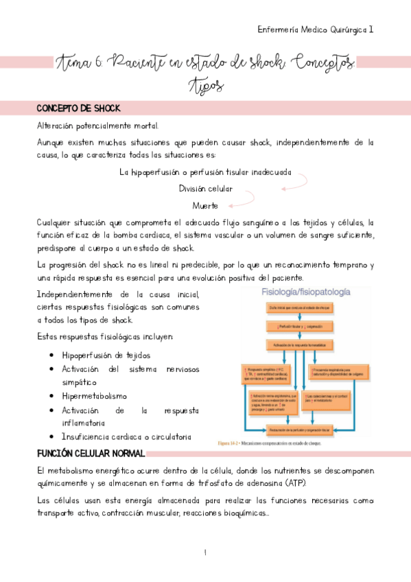 Miniatura del documento Tema-6.pdf