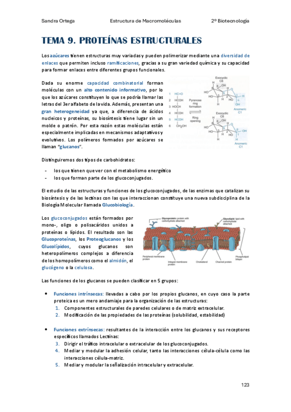 Miniatura del documento Apuntes-Tema-9-EM.pdf