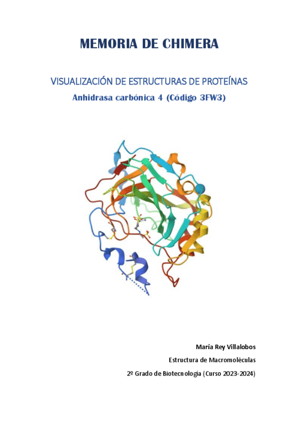 Miniatura del documento Memoria-de-chimera-Anhidrasa-carbonica-4.pdf