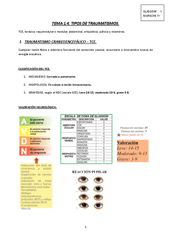 Miniatura del documento TEMA1.4.-MQ3-23-24-TIPOS-DE-TRAUMATISMOS.pdf