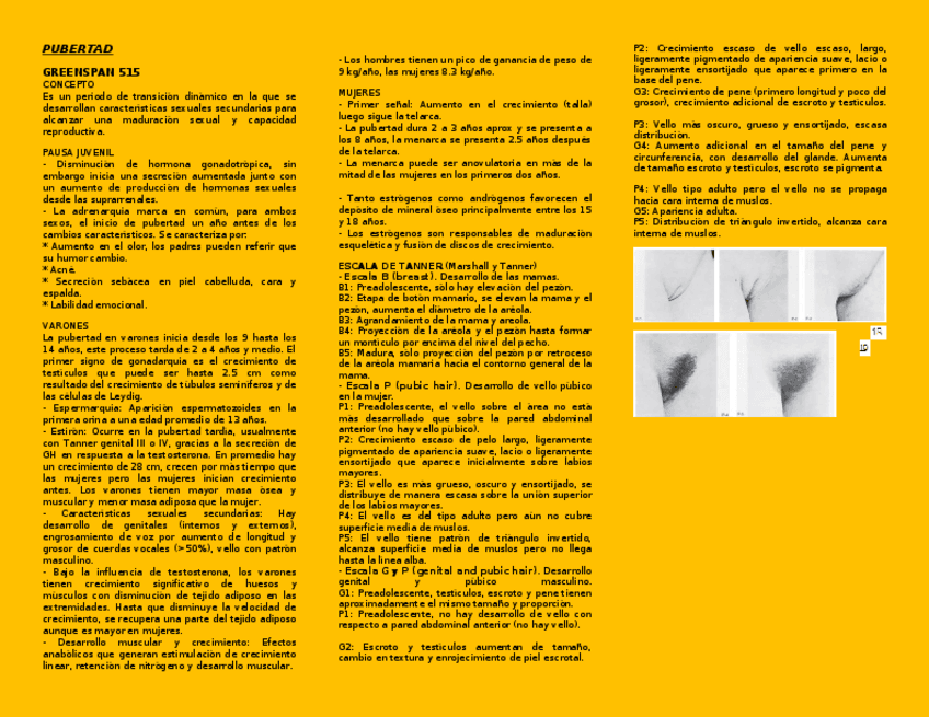 Miniatura del documento PUBERTAD.docx