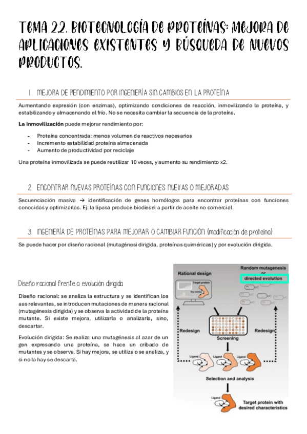 Miniatura del documento TEMA-2.2-y-2.3.pdf