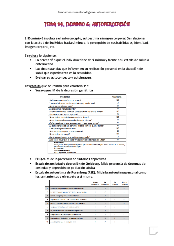Miniatura del documento Tema-14.-Dominio-6.pdf