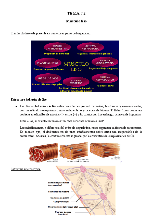 Miniatura del documento TEMA-7.2-BFA.pdf