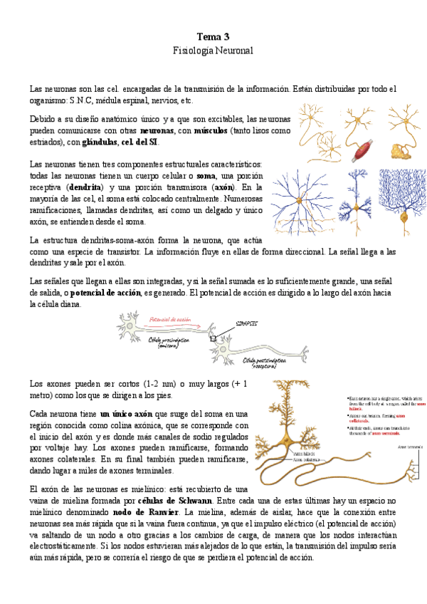 Miniatura del documento TEMA-3.pdf