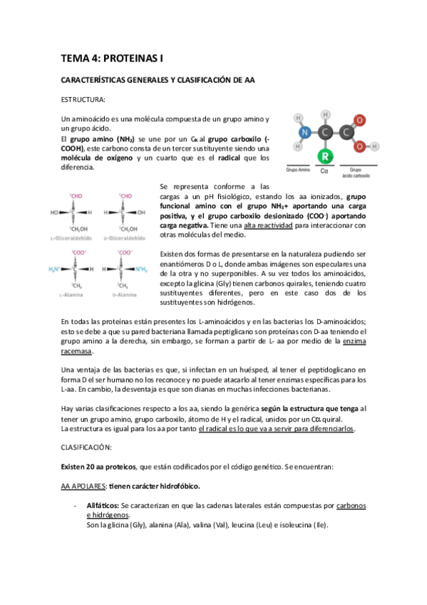 Miniatura del documento tema-4-bioquimica.pdf