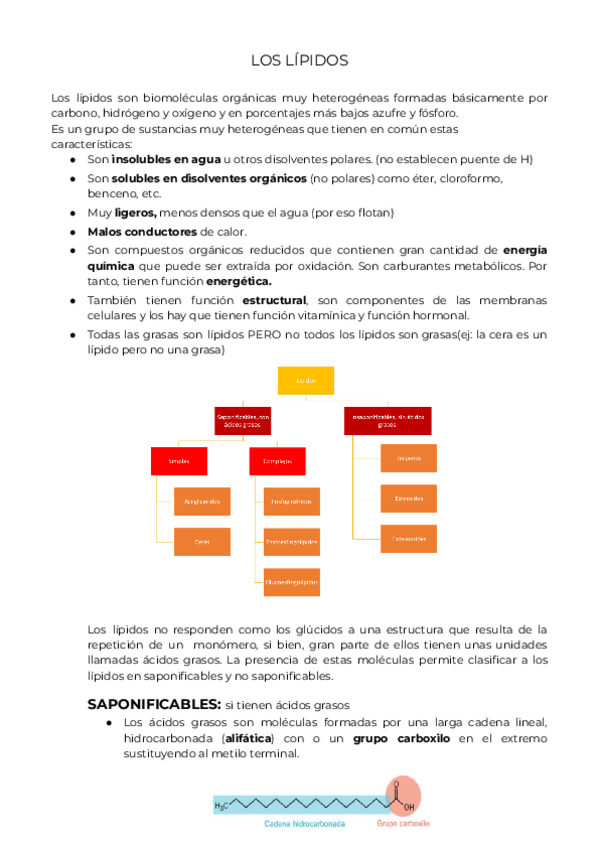 Miniatura del documento LOS-LIPIDOS.pdf