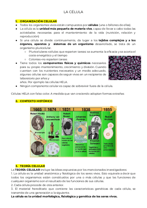Miniatura del documento LA-CELULA.pdf