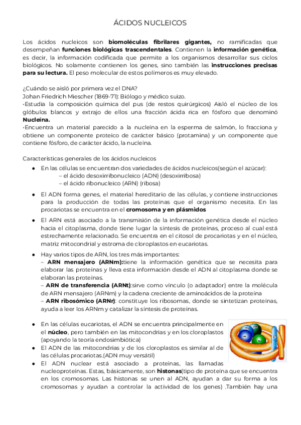 Miniatura del documento ACIDOS-NUCLEICOS.pdf