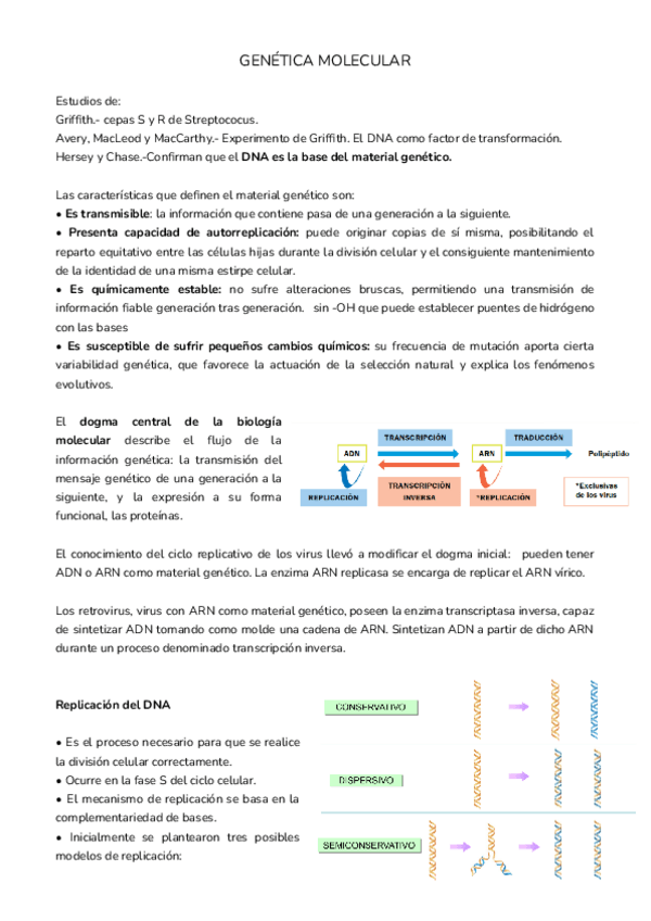 Miniatura del documento GENETICA-MOLECULAR.pdf