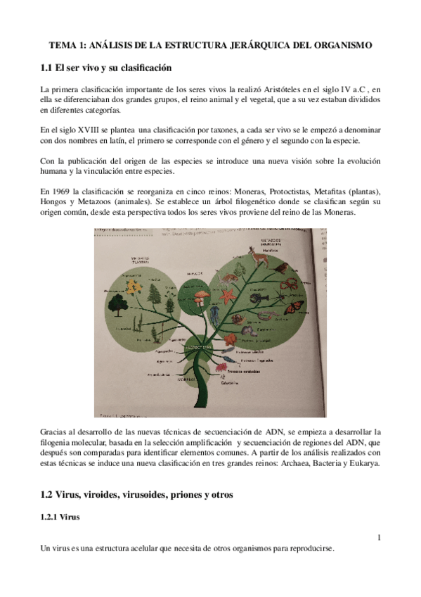 Miniatura del documento Tema-1-fisiopatologia.odt