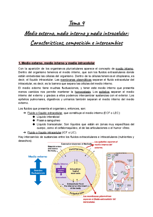 Miniatura del documento Apuntes-Fisio-Animal-Tema-4-Medio-externo-medio-interno-y-medio-intracelular.pdf