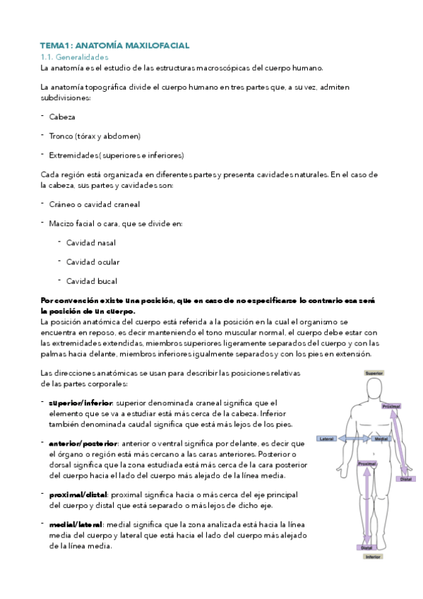Miniatura del documento tema-1-anatomia-maxilofacial.pdf