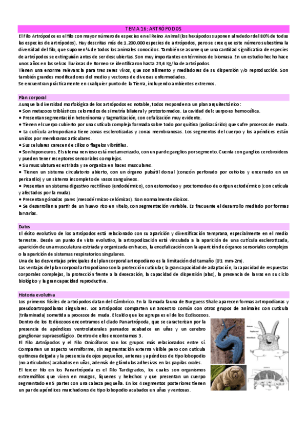 Miniatura del documento ARTROPODOS-completo.pdf