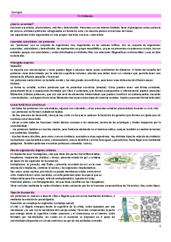 Miniatura del documento parte-1-y-2-zoo.pdf