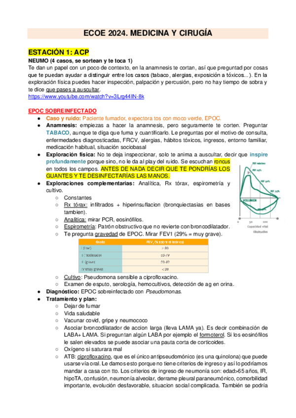 Miniatura del documento ECOE-2024-medicina-cx.pdf