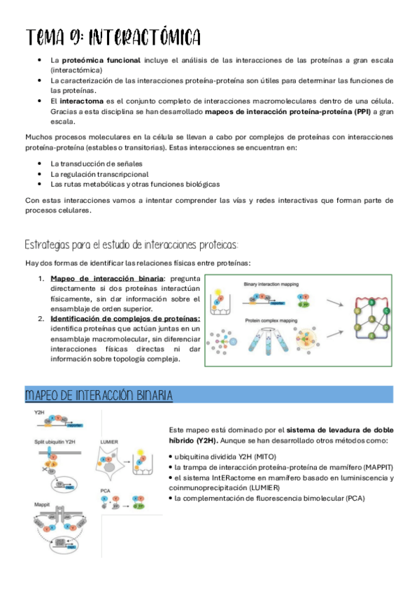 Miniatura del documento Tema-9.-Interactomica.pdf