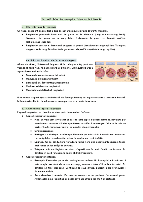 Miniatura del documento Tema-8-Afeccions-respiratories-en-la-infancia.pdf