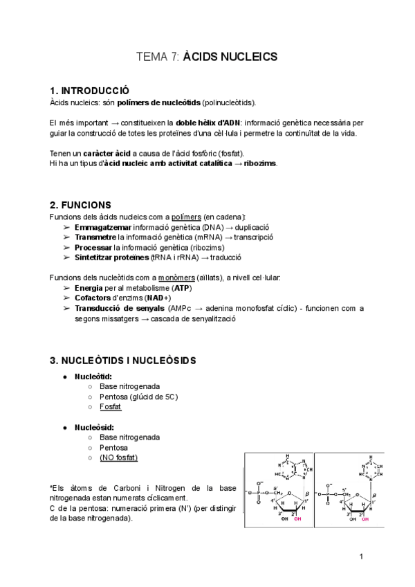 Miniatura del documento tema-7-Acids-Nucleics.pdf