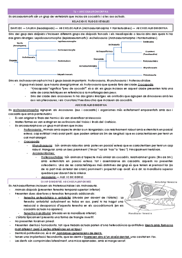 Miniatura del documento T6-ARCOSAUROMORPHA.docx.pdf