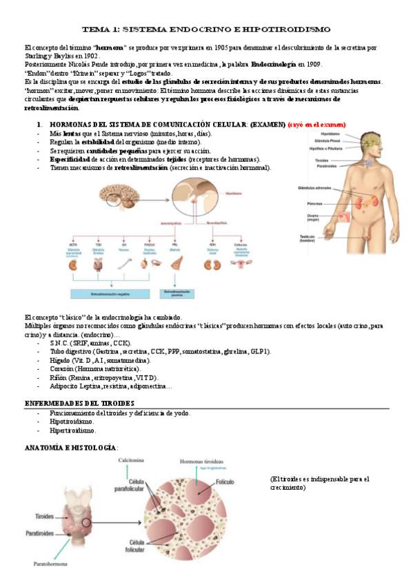Miniatura del documento BLOQUE-5-ENDOCRINOLOGIA.pdf