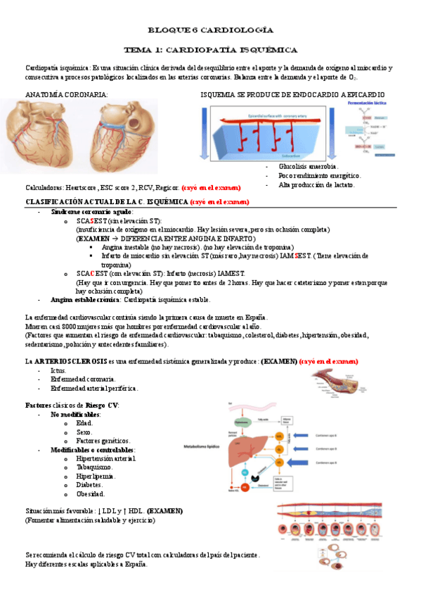 Miniatura del documento BLOQUE-6-CARDIOLOGIA.pdf