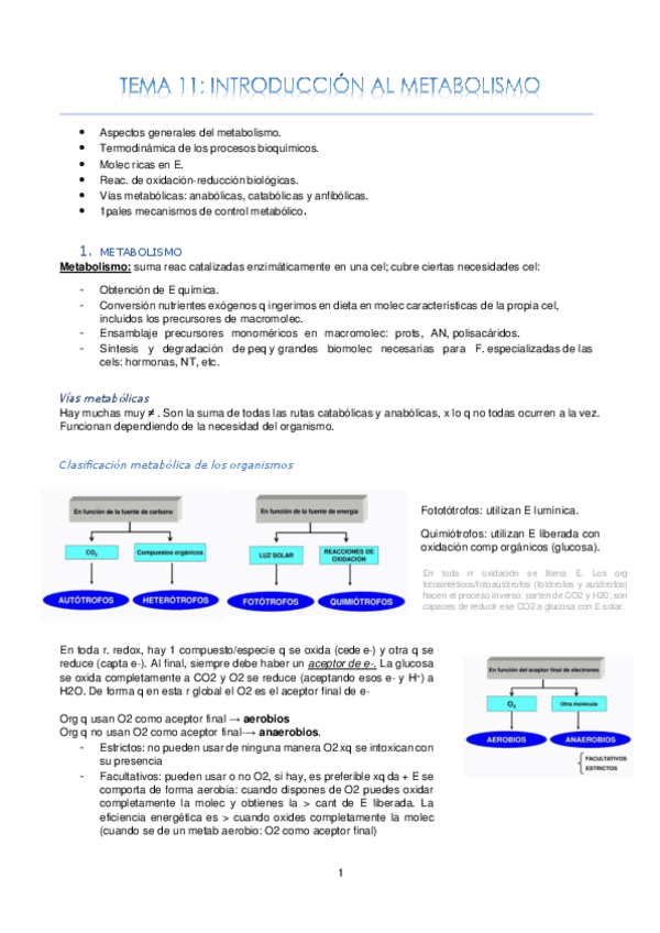 Miniatura del documento TEMA-11.pdf