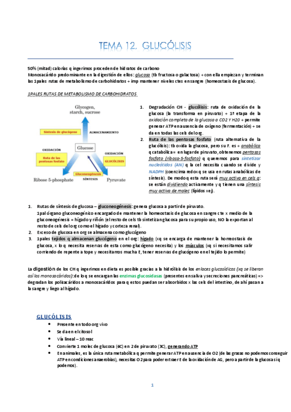 Miniatura del documento TEMA-12.pdf