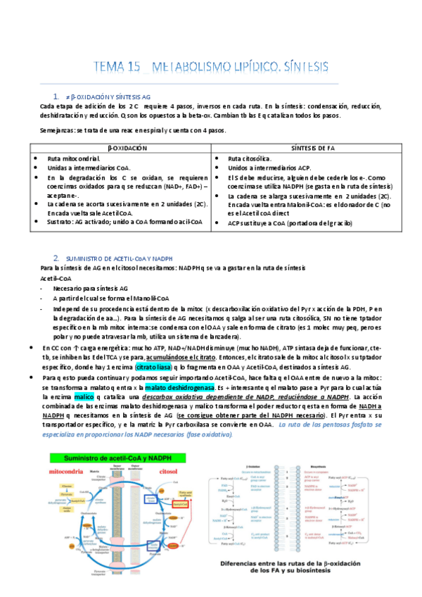 Miniatura del documento TEMA-15-2-PARTE.pdf