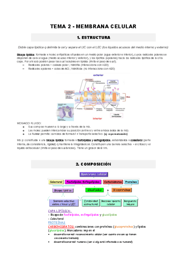 Miniatura del documento TEMA-2-Membrana-plasmatica-parte1.pdf