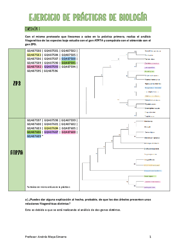 Miniatura del documento Actividad-Bioinformatica.pdf