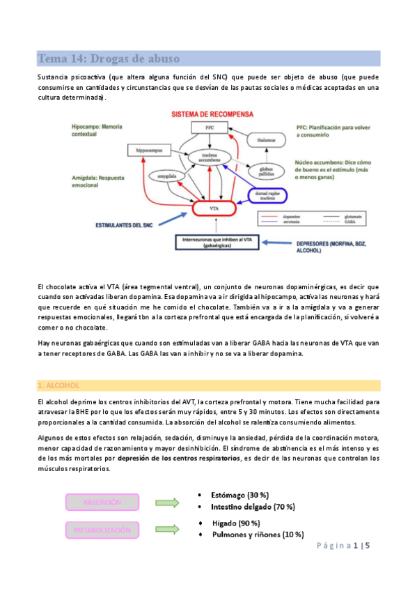 Miniatura del documento Tema-14-bien.pdf