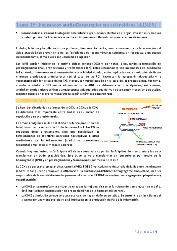 Miniatura del documento Tema-15-bien.pdf