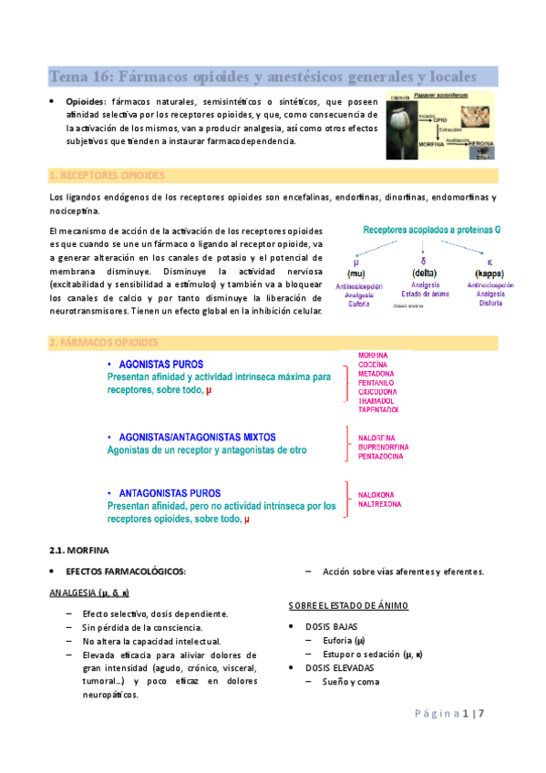 Miniatura del documento Tema-16-bien.pdf