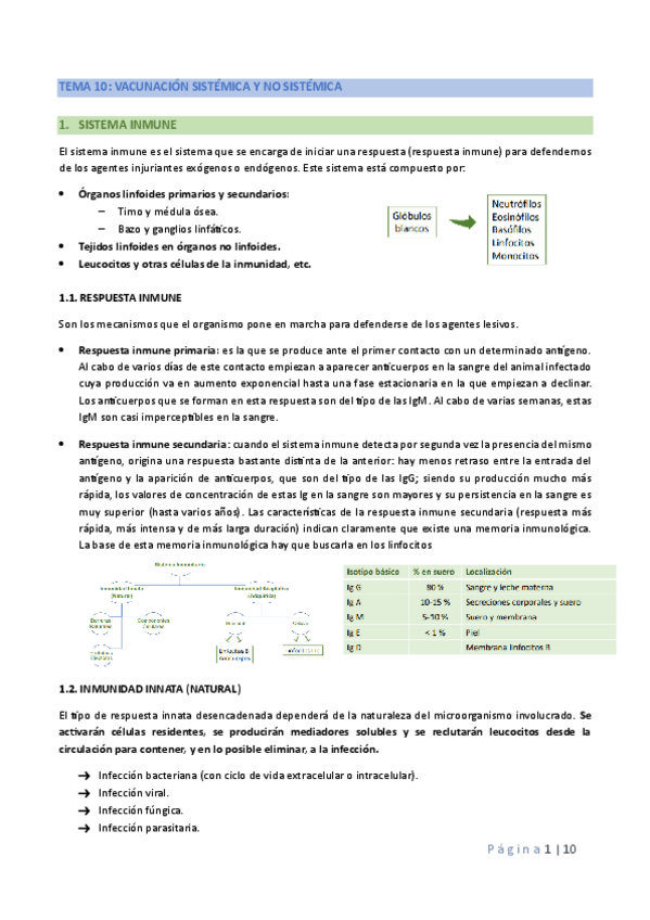 Miniatura del documento 10.pdf