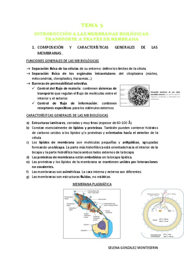 Miniatura del documento TEMA-3.-INTRODUCCION-A-LAS-MEMBRANAS-BIOLOGICAS.-TRANSPORTES-A-TRAVES-PDF.pdf