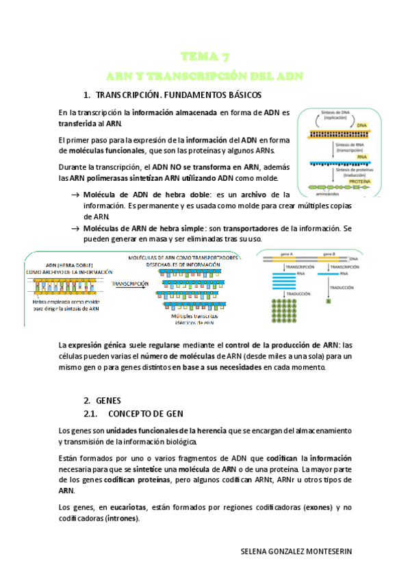 Miniatura del documento TEMA-7.-RNA-Y-TRANSCRIPCION-PDF.pdf