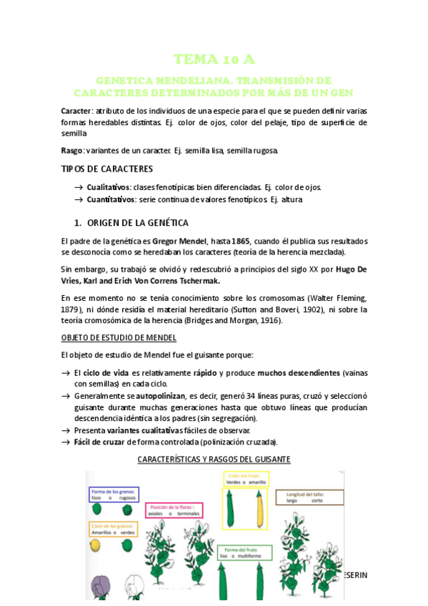 Miniatura del documento TEMA-10A.-GENETICA-MENDELIANA-Y-TRANSMISION-DE-CARACTERES-DETERMINADOS-POR-MAS-DE-UN-GEN-PDF.pdf