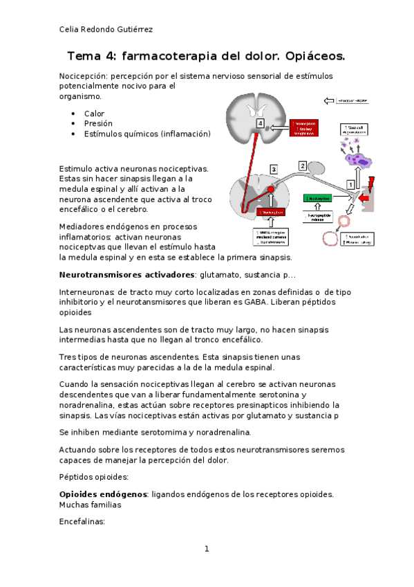 Miniatura del documento Tema 4.docx