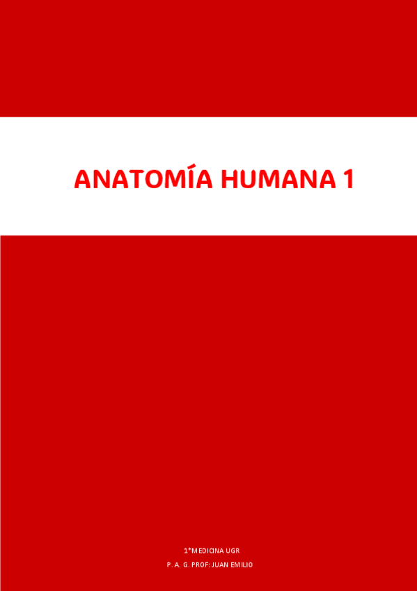 Miniatura del documento Anatomia-1-apuntes.pdf