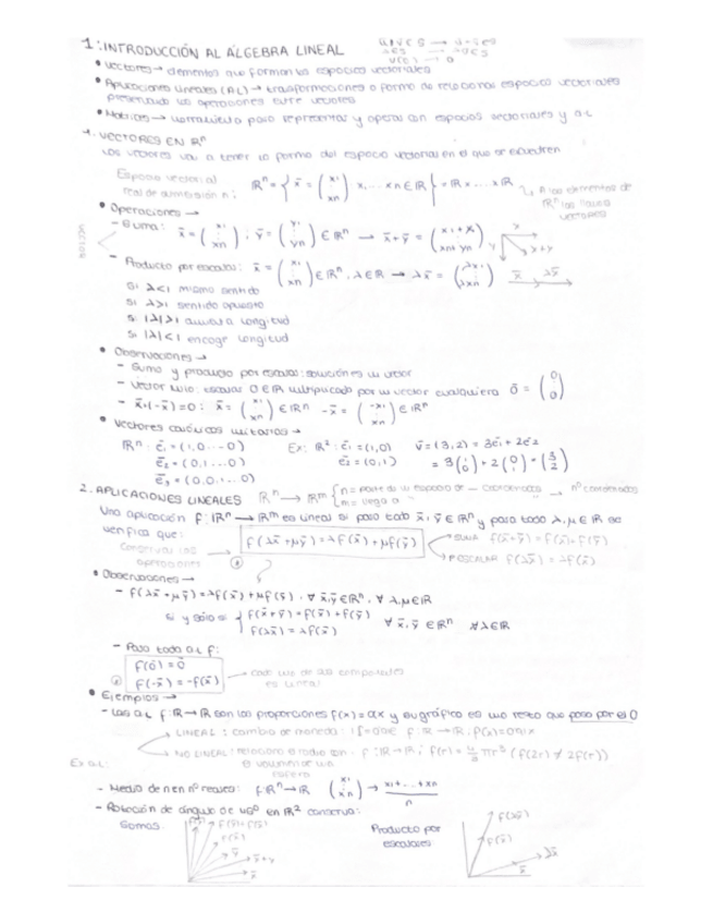 Miniatura del documento 1.INTRODUCCION-AL-ALGEBRA-LINEAL.pdf