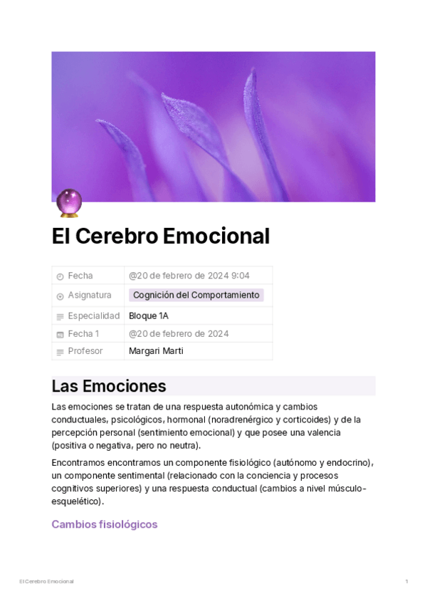 Miniatura del documento 185beae8-0f37-442a-9101-19bc20a8b95cElCerebroEmocional.pdf